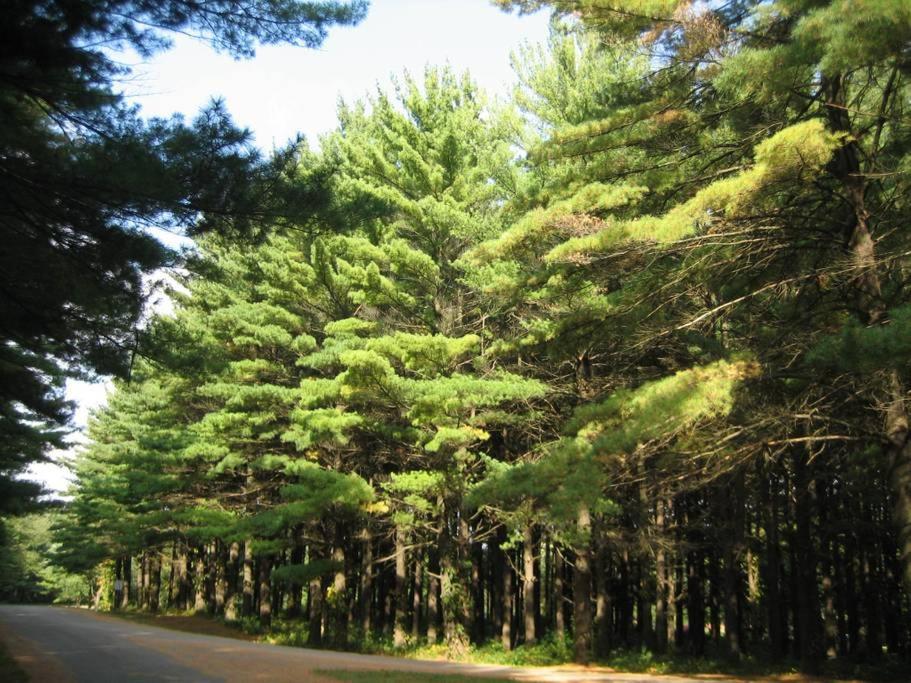 Mount Morris White Pines Resort المظهر الخارجي الصورة